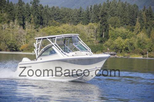 Sailfish 245 DC ficha tecnica